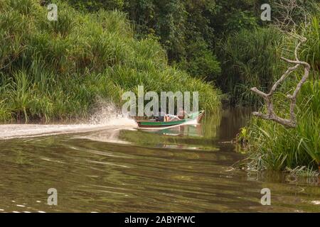 Szenen aus dem sekonyer River, Tanjung Puting Nationalpark, Kalimantan, Borneo Stockfoto