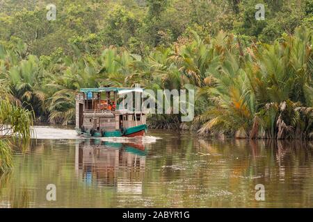 Szenen aus dem sekonyer River, Tanjung Puting Nationalpark, Kalimantan, Borneo Stockfoto