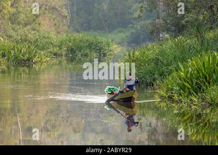 Szenen aus dem sekonyer River, Tanjung Puting Nationalpark, Kalimantan, Borneo Stockfoto