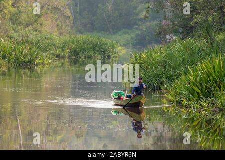 Szenen aus dem sekonyer River, Tanjung Puting Nationalpark, Kalimantan, Borneo Stockfoto