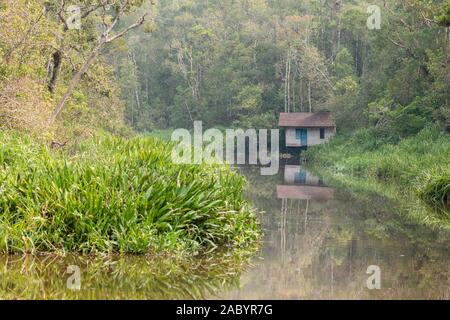 Szenen aus dem sekonyer River, Tanjung Puting Nationalpark, Kalimantan, Borneo Stockfoto