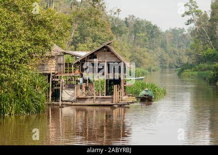 Szenen aus dem sekonyer River, Tanjung Puting Nationalpark, Kalimantan, Borneo Stockfoto