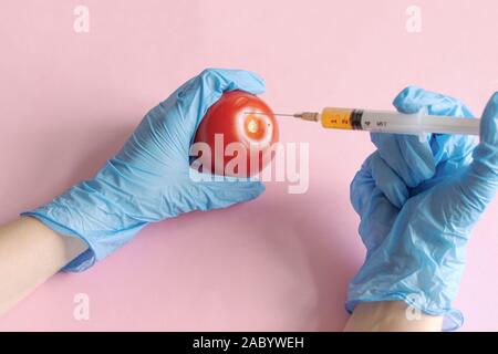 Chemische Verarbeitung von Gemüse, Düngemitteln und GVO. Hand der Person spritzt Chemikalien in Tomaten, GVO-Dünger und Chemikalien mit einer Spritze zu Stockfoto