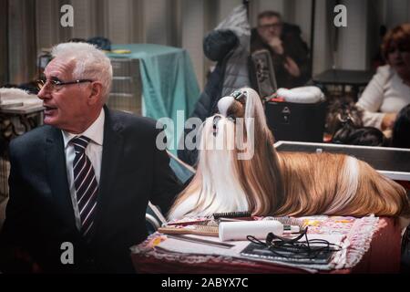 Hundehalter ist Pflege und Kämmen bürsten Hundefell in Vorbereitung der Dog Show in Bologna, Italien, 17. November 2019 Stockfoto