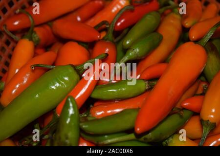 Hot chilis Stockfoto