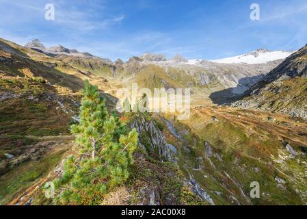 Alpenpanorama mit Gipfeln und Gletschern auf den Berliner Höhenweg in einem Gletscher Tal oberhalb der Berliner Hütte in der Abendsonne, Zillertal, Tirol, Österreich Stockfoto