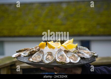 Mann hält Teller Austern mit Zitrone für Abendessen in Restaurant Stockfoto