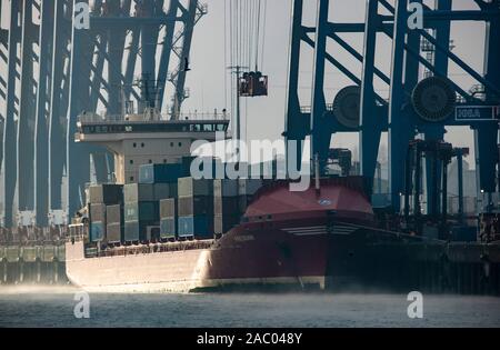 Container Terminal Tollerort im Hamburger Hafen, Nebel, Containerschiff wird-und entladen werden. Stockfoto