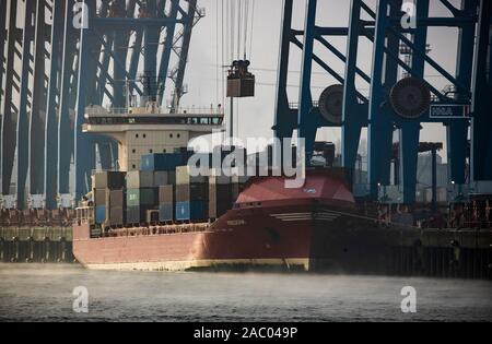 Container Terminal Tollerort im Hamburger Hafen, Nebel, Containerschiff verladen und entladen, Stockfoto