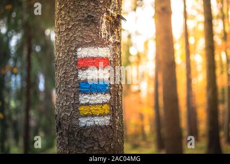 Kennzeichnung der touristischen Route auf dem Baum gemalt. Reiseroute unterzeichnen. Jahreszeit der Herbst mit Sonnenstrahlen peeking Thru verlässt. Stockfoto