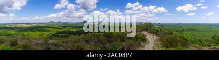 Panorama australische Landschaft unter Berücksichtigung in Glass House Mountains, Bush und Farmen mit Pinienwäldern von Lookout auf Wild Horse Mountain nur Off t Stockfoto