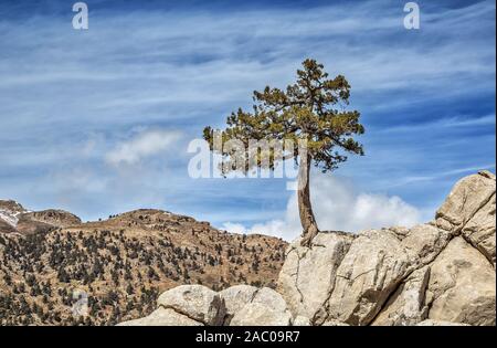 Taurusgebirge, Baranda Plateau und Wacholderbäume Stockfoto