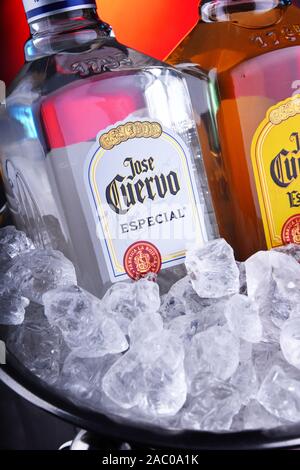 POZNAN, POL - 15.November 2019: Flaschen von Jose Cuervo, eine Marke der meistverkaufte Tequila in der Welt, mit einem Marktanteil von 35,1% den Tequila Sektor Stockfoto