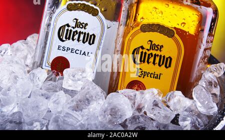 POZNAN, POL - 15.November 2019: Flaschen von Jose Cuervo, eine Marke der meistverkaufte Tequila in der Welt, mit einem Marktanteil von 35,1% den Tequila Sektor Stockfoto