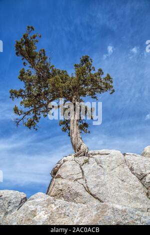 Taurusgebirge, Baranda Plateau und Wacholderbäume Stockfoto