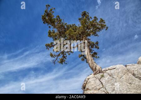 Taurusgebirge, Baranda Plateau und Wacholderbäume Stockfoto