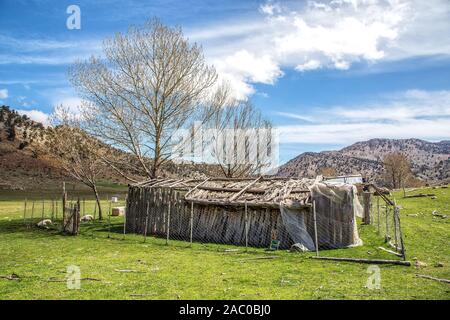 Taurusgebirge, Baranda Plateau und Wacholderbäume Stockfoto