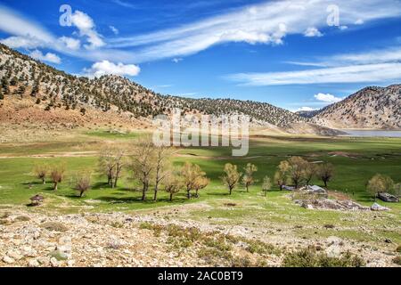 Taurusgebirge, Baranda Plateau und Wacholderbäume Stockfoto
