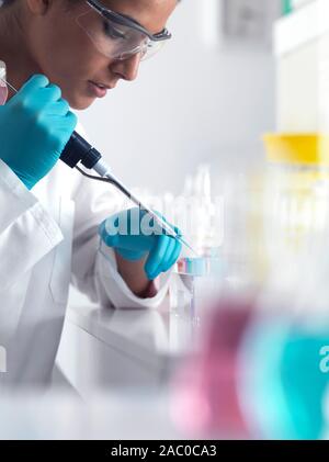 Wissenschaftler pipettieren Proben in Mikrozentrifugenröhrchen bereit für die automatisierte Analyse. Stockfoto