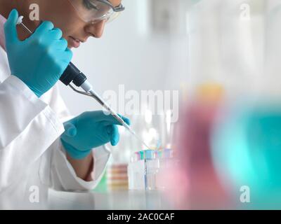 Wissenschaftler pipettieren Proben in Mikrozentrifugenröhrchen bereit für die automatisierte Analyse. Stockfoto