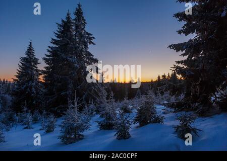 Fantastischer abend Landschaft mit dramatischen winter Szene mit verschneiten Bäumen. Karpaten, Rumänien, Siebenbürgen Stockfoto