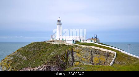 South Stack Lighthouse, Anglesey - Wales Stockfoto