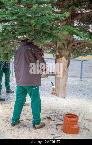 Ein Handwerker sägt eine Tanne mit einer Kettensäge Stockfoto