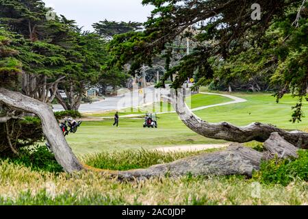 Pacific Grove Golf Links Stockfoto
