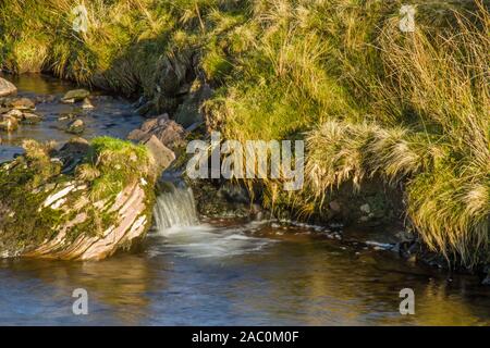 Der Fluss Afon Llia hoch in die Brecon Beacons Llia Tal, bevor Sie den Weg der Afon Dringarth und dann die Afomn Mellte in Powys zu verbinden Stockfoto