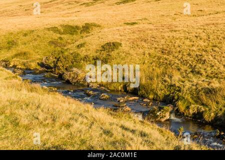 Der Fluss Afon Llia hoch in die Brecon Beacons Llia Tal, bevor Sie den Weg der Afon Dringarth und dann die Afomn Mellte in Powys zu verbinden Stockfoto