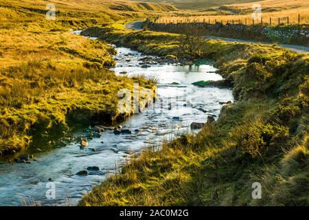 Der Fluss Afon Llia steigt hoch im Brecon Beacons Llia Valley, bevor er seinen Weg zur Afon Dringarth und dann die Afon Mellte in Powys Stockfoto