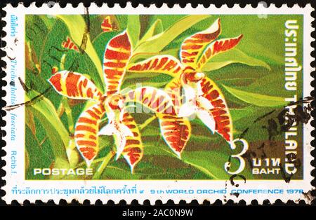 Wunderschöne Orchideen auf Thai Briefmarke Stockfoto