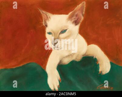 Kopf und Schultern eines Siamesische Katze mit strahlend blauen Augen in Pastell Stockfoto