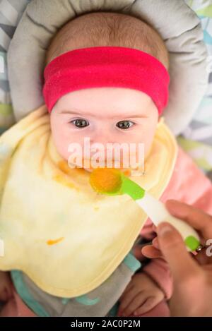 Mutter Fütterung hungrigen fünf Monate alten lustig Baby mit fester Nahrung. Beagle Hund neugierig beobachten. Stockfoto