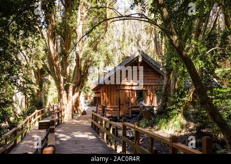 Holz- Wanderweg von grünen Chilenische Myrte Bäume im Nationalpark Los Arrayanes umgeben, Villa La Angostura, Patagonien, Argentinien Stockfoto