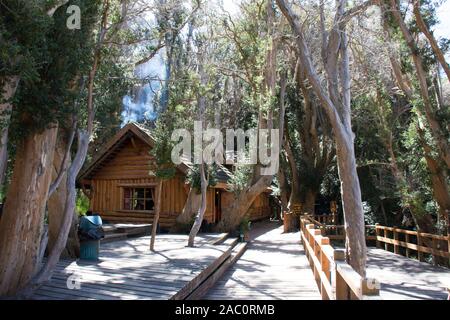 Holz- Wanderweg von grünen Chilenische Myrte Bäume im Nationalpark Los Arrayanes umgeben, Villa La Angostura, Patagonien, Argentinien Stockfoto