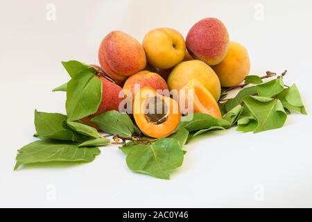 Frische süße Aprikosen mit Blättern auf weißem Hintergrund Stockfoto