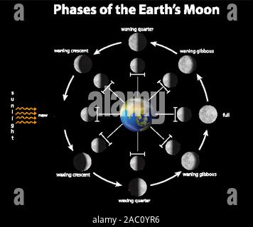 Diagramm mit Phasen der Erde Mond Abbildung Stock Vektor