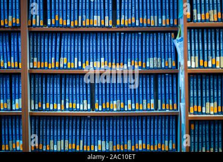 Parchim, Deutschland. 13 Nov, 2019. Tausende von filmtiteln sind für Miete in den Regalen der Videothek "Video Aktuell" zur Verfügung. Einer der letzten Video Stores in Mecklenburg-Vorpommern Vorpommern seine Türen schließt nach 29 Jahren vor Weihnachten. 1991 eröffnet, die Vermietung Service für Filme, Musik oder Computerspiele angeboten 3000 VHS-Kassetten und 4.000 DVD oder Blue Ray-Titel auf seiner Hochzeit. Von 9000 Deutschlands Videotheken, es gibt weniger als 400 Heute, nach der Vereinigung für Video und Media Einzelhändler. Credit: Jens Büttner/dpa-Zentralbild/dpa/Alamy leben Nachrichten Stockfoto