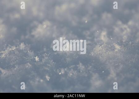 Schöne Kristalle von Schneeflocken glühen in den Strahlen der Frühlingssonne, auf weichem Schnee. Als Hintergrund oder Tapete verwendet werden. Makro. Stockfoto