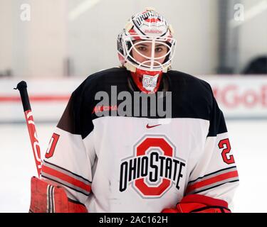 Columbus, Ohio, USA. 29 Nov, 2019. Ohio State Buckeyes Goalie Andrea BrÃ¤ndli (20) gegen Cornell in ihr Spiel in Columbus, Ohio. Brent Clark/CSM/Alamy leben Nachrichten Stockfoto