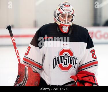 Columbus, Ohio, USA. 29 Nov, 2019. Ohio State Buckeyes Goalie Andrea BrÃ¤ndli (20) gegen Cornell in ihr Spiel in Columbus, Ohio. Brent Clark/CSM/Alamy leben Nachrichten Stockfoto