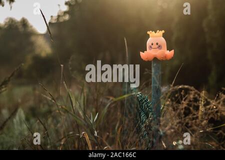 Spielzeug orange Octopus auf einem alten grünen Maschendrahtzaun auf einer verschwommenen Hintergrund mit Wiese und Tau. Stockfoto