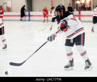 Columbus, Ohio, USA. 29 Nov, 2019. In ihr Spiel in Columbus, Ohio. Brent Clark/CSM/Alamy leben Nachrichten Stockfoto