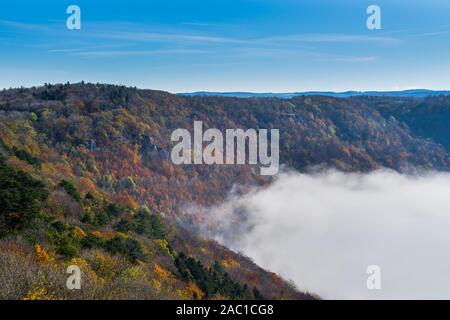 Deutschland, schöne bunte orange, rot, gelb, grün Herbst Laub der Bäume, die Schwäbische Alb Natur Landschaft an einem sonnigen Tag im Herbst Saison ab Stockfoto