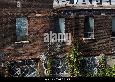 Toronto City alten Backsteingebäude mit Weinreben und Graffiti sonniges Wetter herbst Umwelt Stockfoto