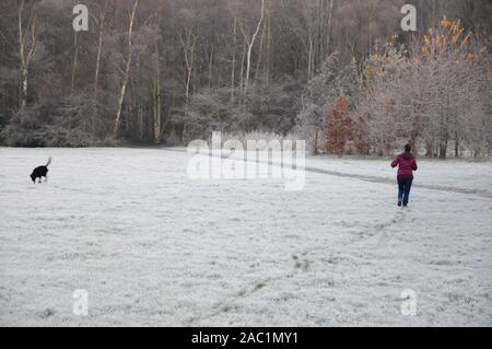 Meersbrook Park, Sheffield, UK. 30. November 2019. Ein frostiger Morgen in Sheffield. Credit: Alamy leben Nachrichten Stockfoto