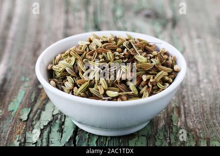 Fenchel Samen in einer weißen Schüssel auf einem grünen Holz- Hintergrund Stockfoto