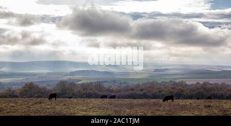 South Downs Ansichten Stockfoto