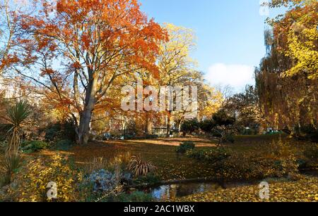 Die mehrfarbige Bäume in den Wald. Stockfoto